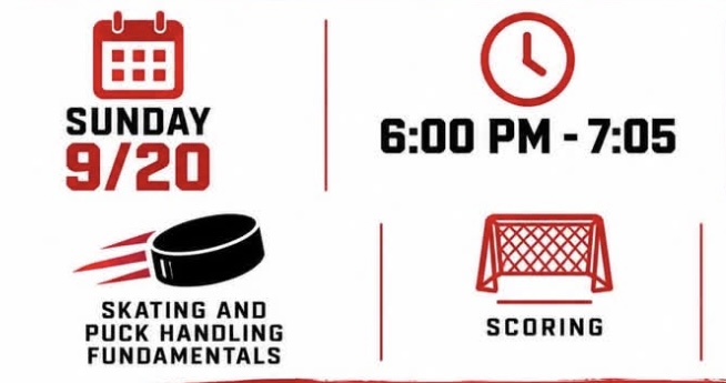 Detroit Falcons Skills Skate image