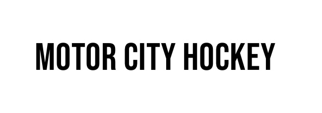 Motor City Hockey Future Stars 6U & 8U — Fall 2026 image