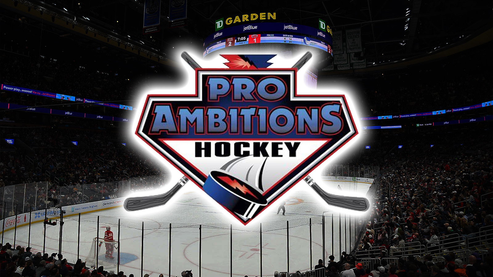 Pro Ambitions Youth Hockey Development Camp image