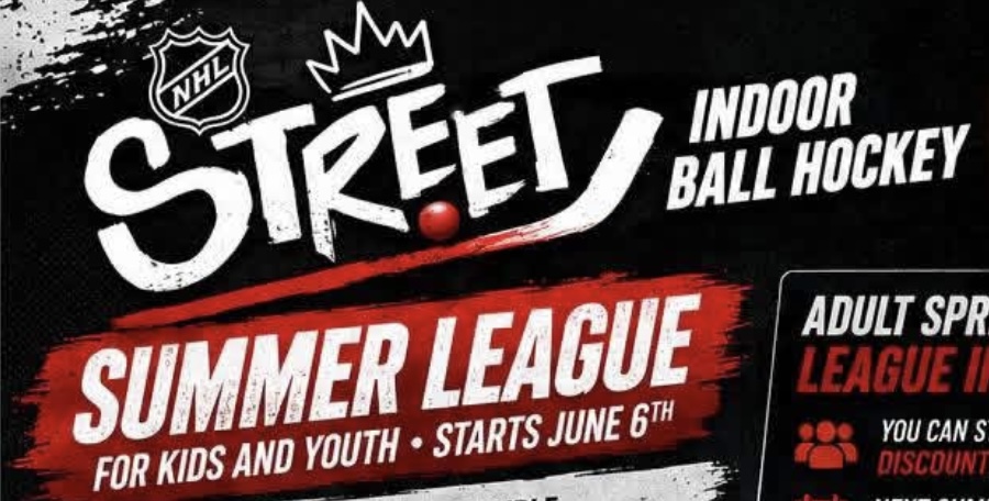 Detroit Ball Hockey NHL Street Summer League image