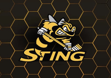 Troy Youth Hockey Association 2026–2027 Tier III Hockey Registration image