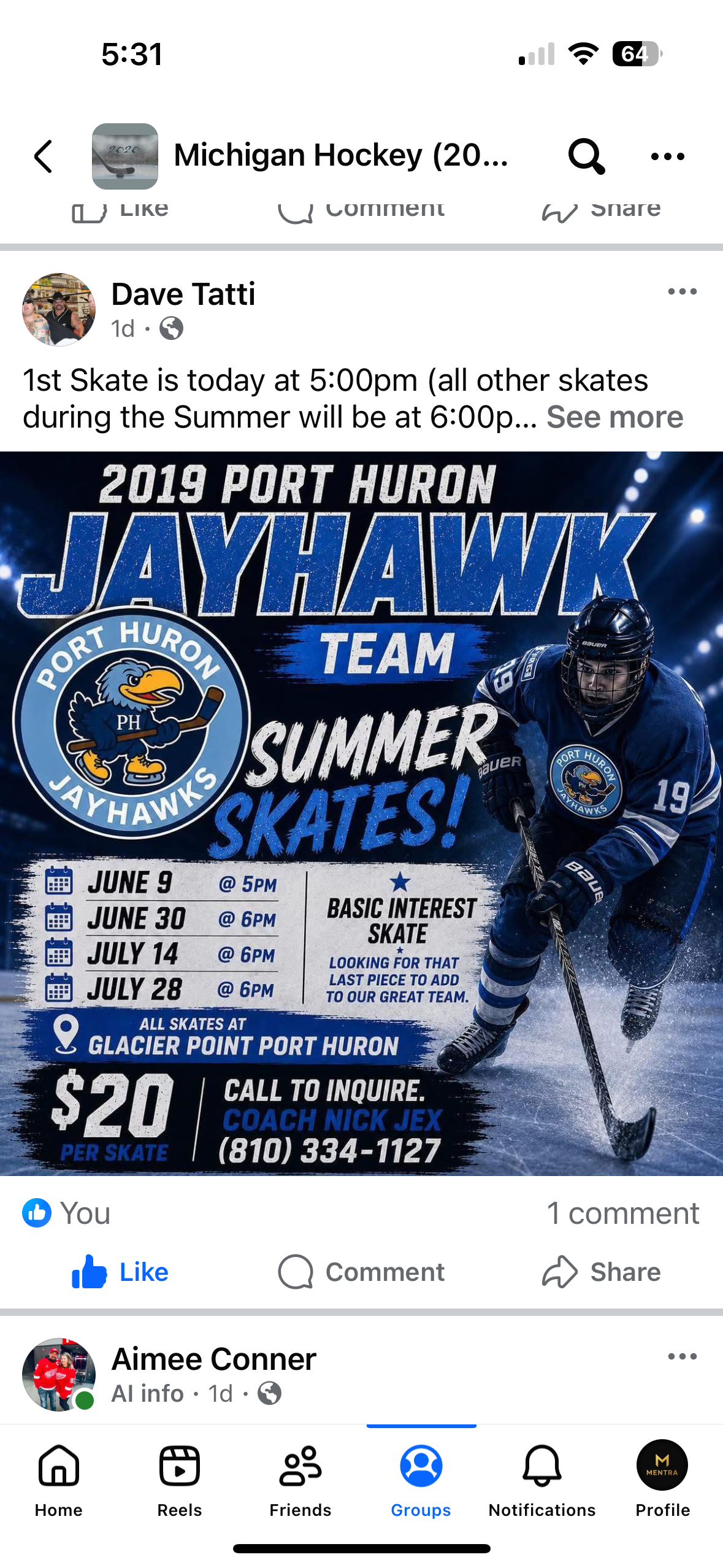 2019 Port Huron Jayhawks Summer Skates image