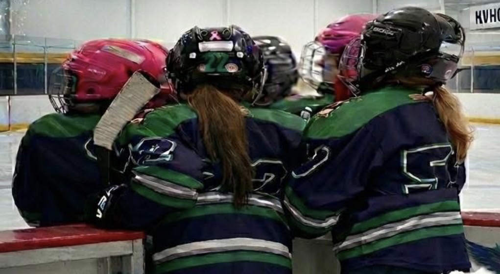 KV Ravens 10U Tier 3 Girls Hockey Team Registration image
