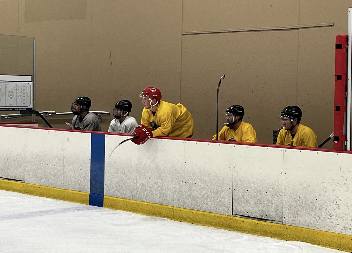 Adult 3v3 Hockey Tournament image 5